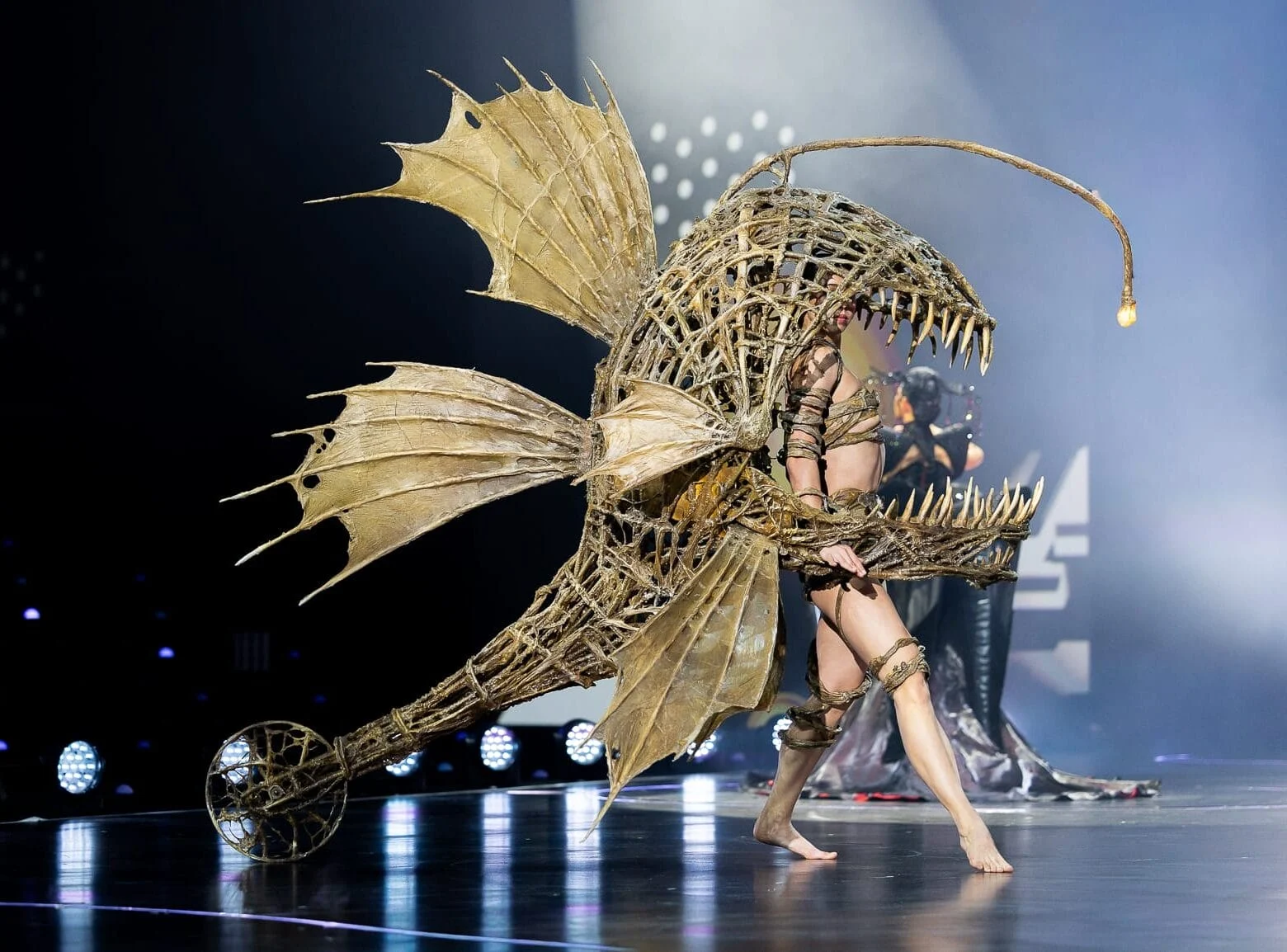 World of WearableArt: the room you cannot borrow